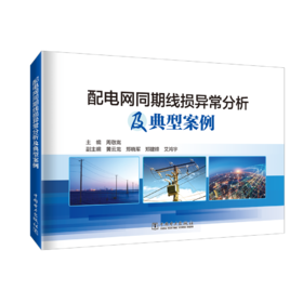 配电网同期线损异常分析及典型案例