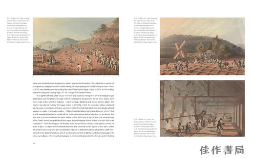 Witnessing Slavery: Art and Travel in the Age of Abolition / 见证奴隶制：废除黑奴制时代的艺术与旅行 商品图2