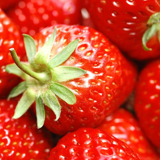 山姆 • 小岛春草莓 (1kg/24枚装) 商品图1