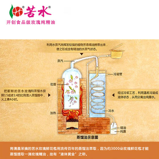 苦水（KUSHUI)牌.玫瑰纯精油5ml*4瓶  清晨采摘蒸馏提取 国家标准 商品图7