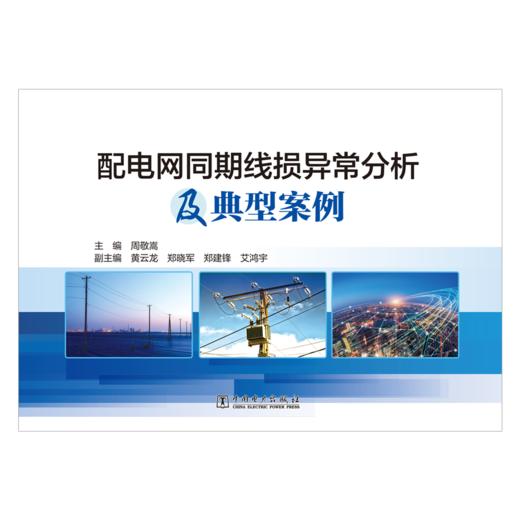 配电网同期线损异常分析及典型案例 商品图1