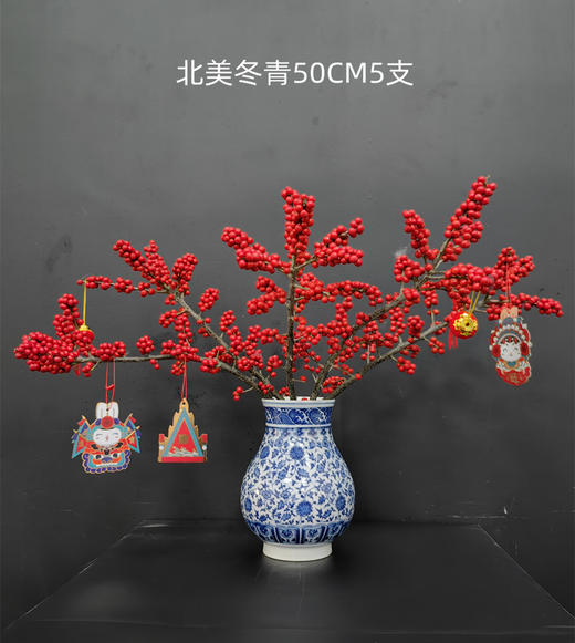 精品A级北美冬青富贵籽多款选择 商品图2