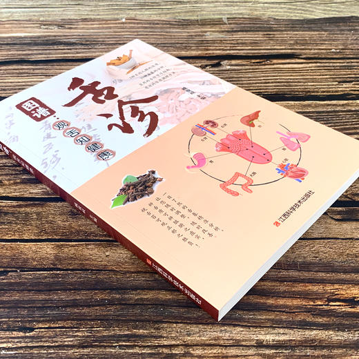 【9.9元包邮】全新正版彩图全解舌诊图谱观舌知健康 舌诊辩证图谱 图解中医舌诊基础理论手诊面诊罗大伦书舌诊诊断教程中医看舌苔调理书中医养生 商品图1