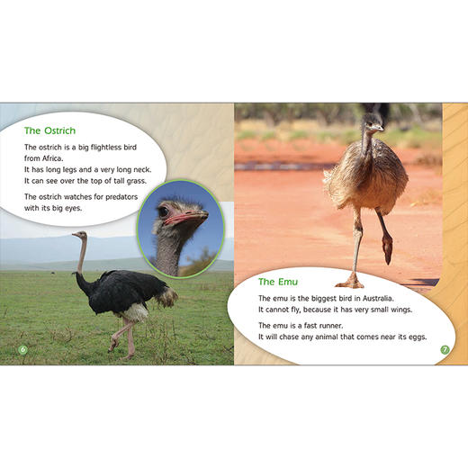 丽声三叶草分级读物第九级 商品图5