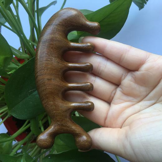 经络梳升级为穴位经络梳 商品图2