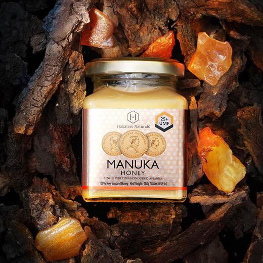 荷塔威麦卢卡蜂蜜25+250g 商品图3