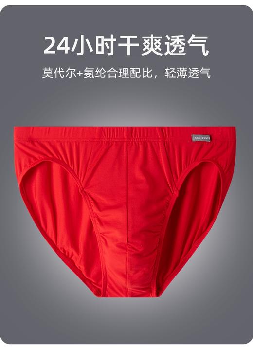 【经典莫代尔三角】SCHIESSER德国舒雅莫代尔男士三角内裤35/18947S 商品图1