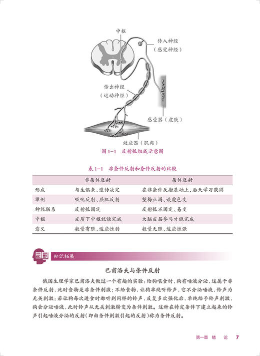 生理学基础 第4版 十四五规划教材 全国中等卫生职业教育教材 供护理专业用 牟敏 程兆东主编 人民卫生出版社9787117340335 商品图3