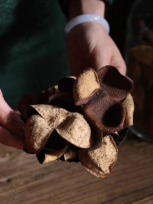 广东之宝-陈皮 商品图0