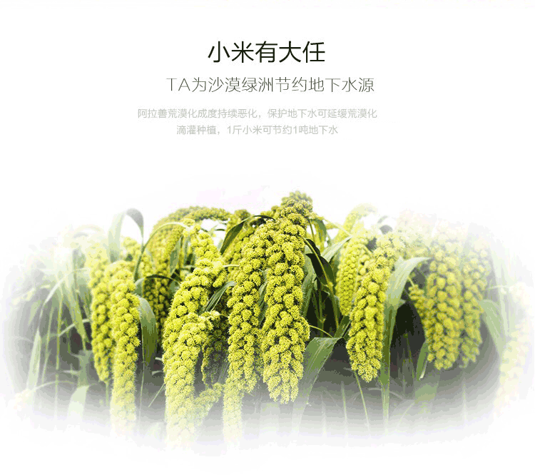  避开人山人海，五一来阿拉善参加春播吧！ 