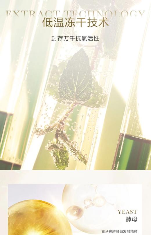 雪肌追光焕颜生肌乳液 商品图2