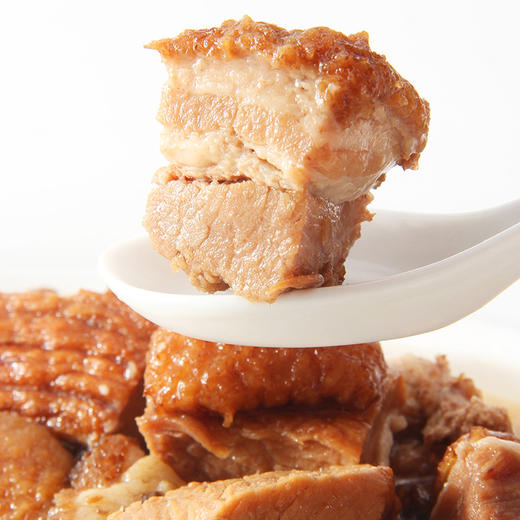 宣和坊牌黑皮子墩墩肉罐头500g/听 商品图1