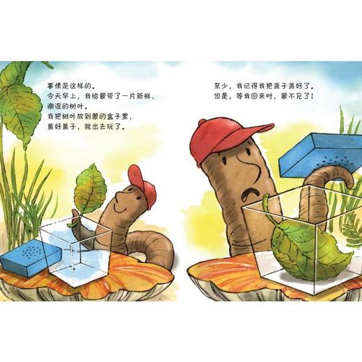 蚯蚓的日记 2 商品图1
