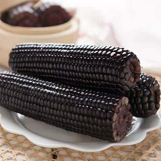 【全国包邮】祁州 黑玉米8根装 商品图3