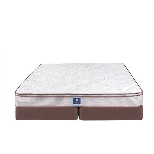 Sealy丝涟床垫 尚谨 朗  Elaboration Lawn     商品图2