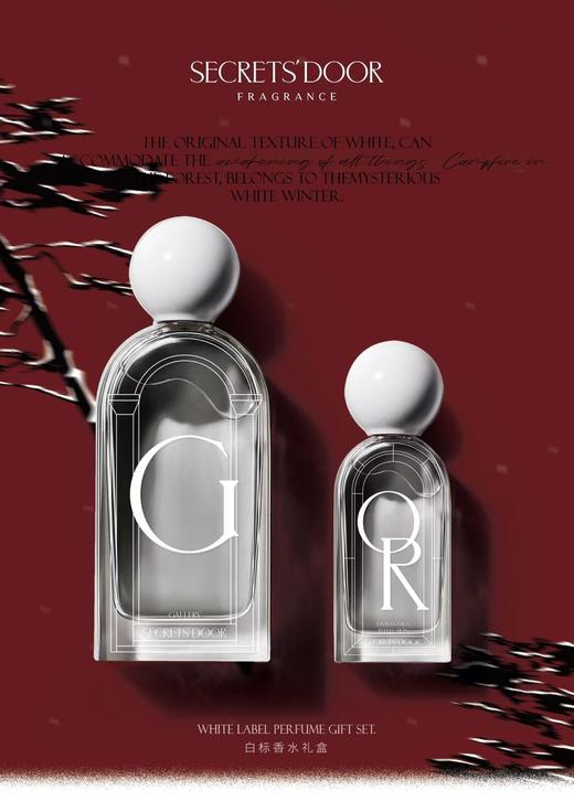 白标100ml+30ml 商品图0