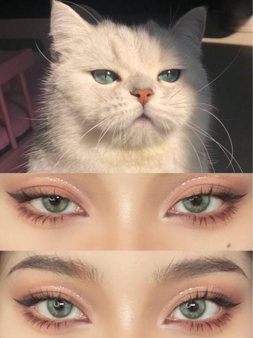 【小红书推荐款】Bollycon莱琳青灰，日抛/直径14.2/着色13.3，78/一盒（如需佩戴工具请备注哦！） 商品图4