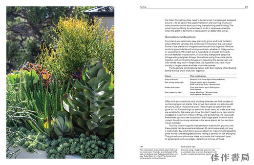 The City Gardener：Contemporary Urban Gardens / 城市园丁：当代城市花园 商品图2