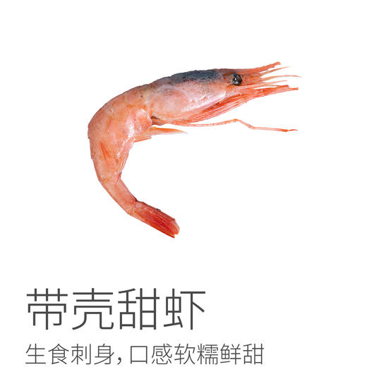 特大号北极生食甜虾 |丨品牌：皇冠，生食刺身，腹籽甜虾，软糯鲜甜，化冻后直接食用⭐️顺丰快递 商品图0
