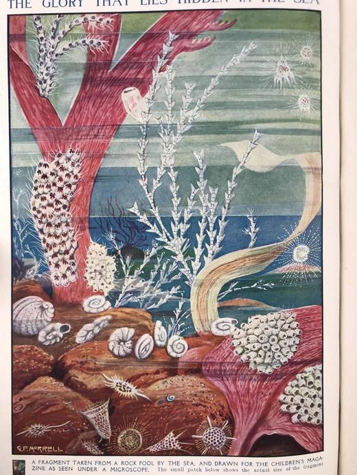 1914年 儿童杂志 数百幅插图 漆布精装18开 商品图2