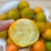 国家地理标识产品，融安金桔，金桔界天花板 来自广西融安核心产区 | 不酸麻、不苦涩 ，脆甜水嫩 只采摘甜度大于20度的精品大果 商品缩略图6