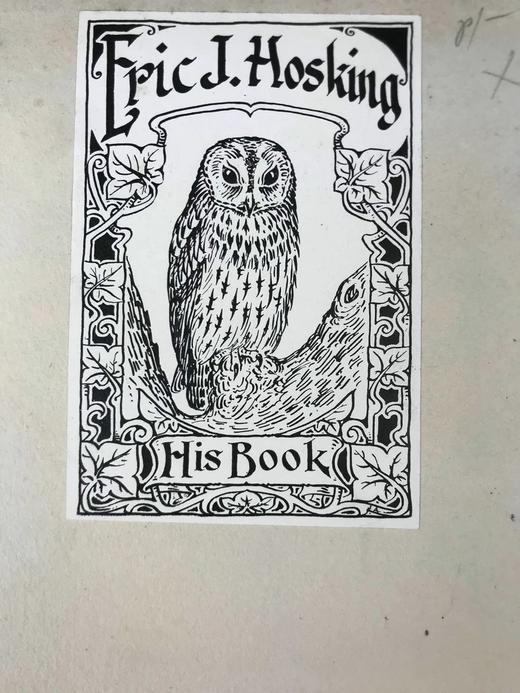 含藏书票！1910年 琵鹭的巢中生活 32幅手工贴图 漆布精装16开 商品图2