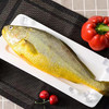 【冰冻水产】黄花鱼550g/袋  独立包装 商品缩略图2