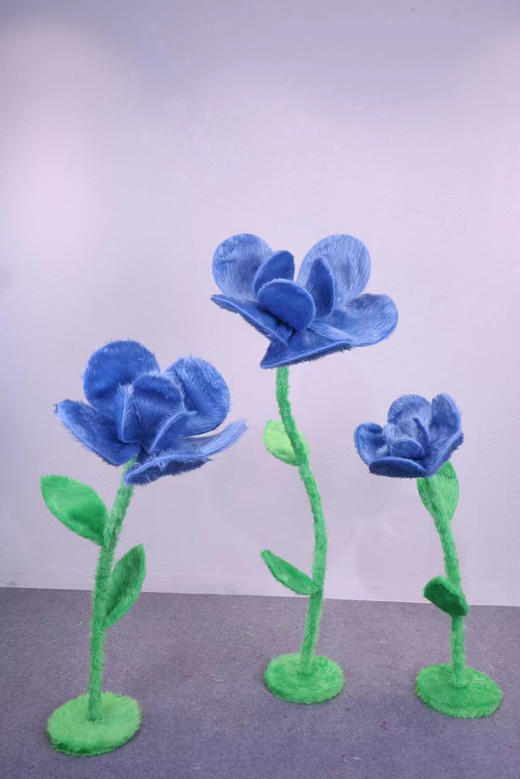 毛绒多肉（运费自理） 商品图1