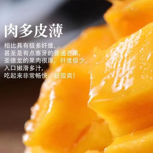 红夫人商城 海南空运 金煌芒 你好芒 芒果一箱6.5-7斤 商品图2
