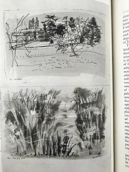 怀特《塞耳彭自然史》（1962，书匣破损） 12幅插图 精装16开带书匣 商品图13