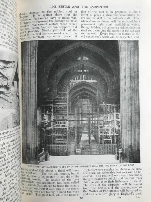 1914年 儿童杂志 数百幅插图 漆布精装18开 商品图13