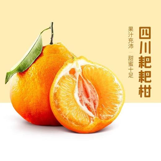 【严选】四川春见耙耙柑带箱10斤（厂家直发） 商品图4