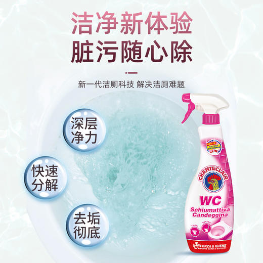 【大公鸡马桶清洁剂】 Chante Clair/大公鸡管家 意大利原装进口马桶清洁剂 625ml 商品图3