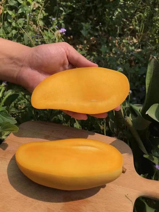 红夫人商城 海南空运 金煌芒 你好芒 芒果一箱6.5-7斤 商品图5