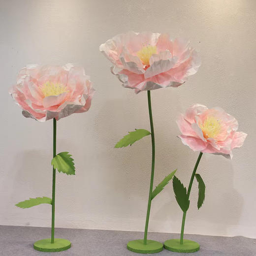 蔷薇（运费自理） 商品图4