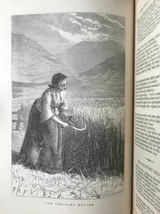 约19世纪后期 华兹华斯诗集 配版画插图 全犊皮（vellum）精装32开 商品图7