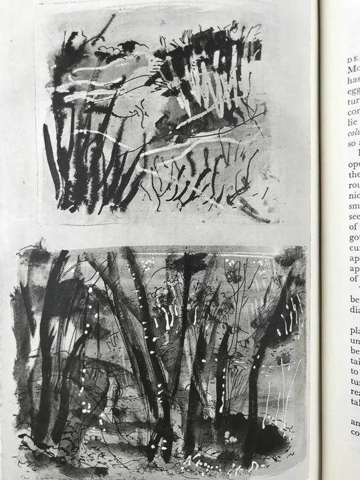 怀特《塞耳彭自然史》（1962，书匣破损） 12幅插图 精装16开带书匣 商品图11