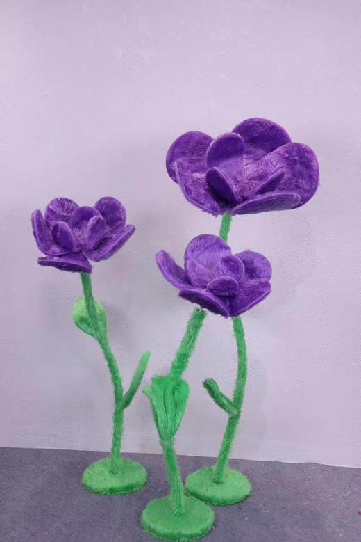 毛绒多肉（运费自理） 商品图3