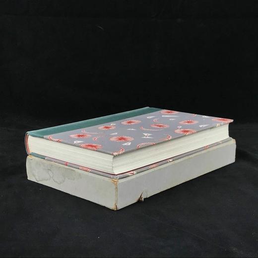 斯威夫特《格列佛游记》（1965） 16幅彩色插图 精装18开带书匣 商品图1