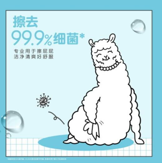 【年货节】舒洁（Kleenex）湿厕纸家庭装80片*6包（480片）清洁湿纸巾湿巾 擦走细菌 商品图2