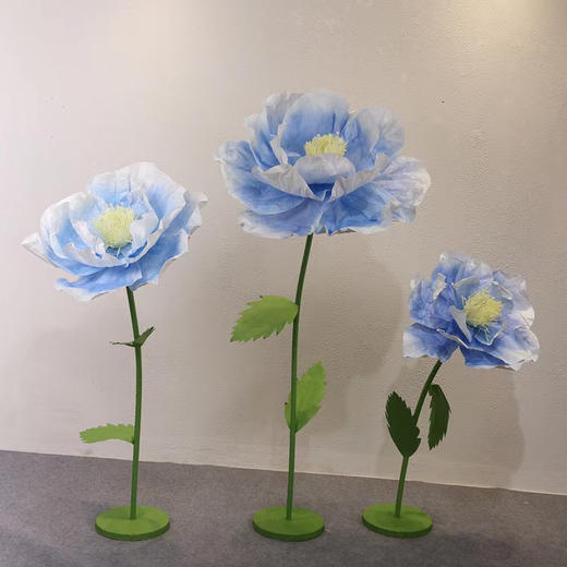 蔷薇（运费自理） 商品图9