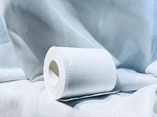 卫生间大卷纸（80g/个，约200个/件约0.9元/个） 商品图0