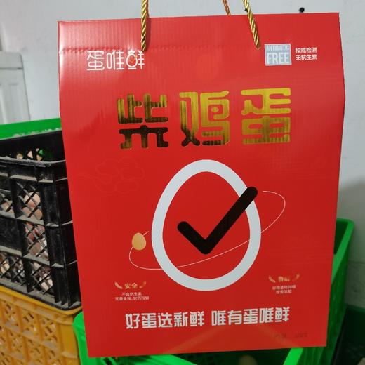 【批发】60枚装柴鸡蛋 商品图0