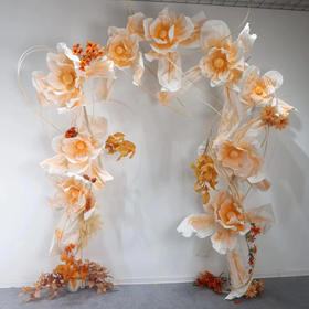 拖尾花（运费自理）