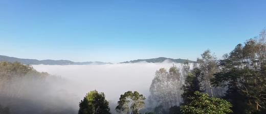 【云南景迈·接送站/包车/租车】5座/7座车（景迈山+西双版纳+普洱） 商品图4