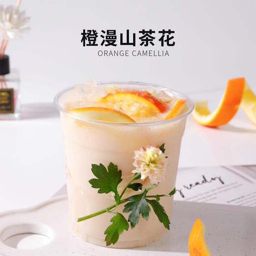 四季青乌龙茶 500g /包 商品图2