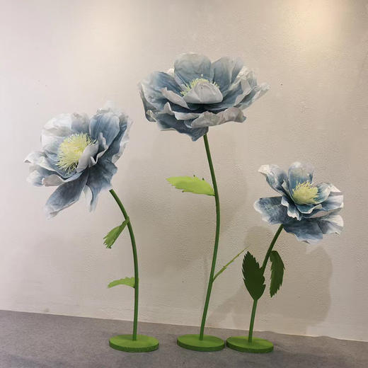 蔷薇（运费自理） 商品图8