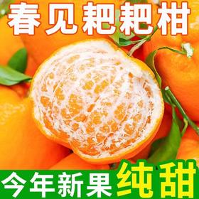 【严选】四川春见耙耙柑带箱10斤（厂家直发）