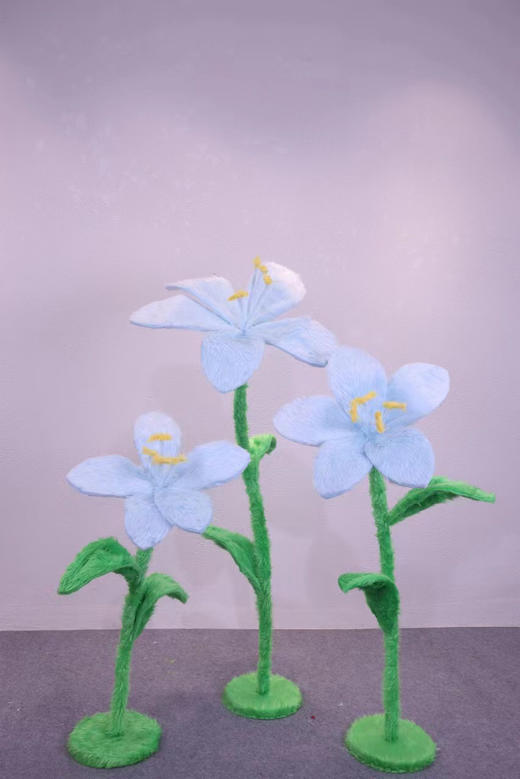 毛绒百合（运费自理） 商品图6