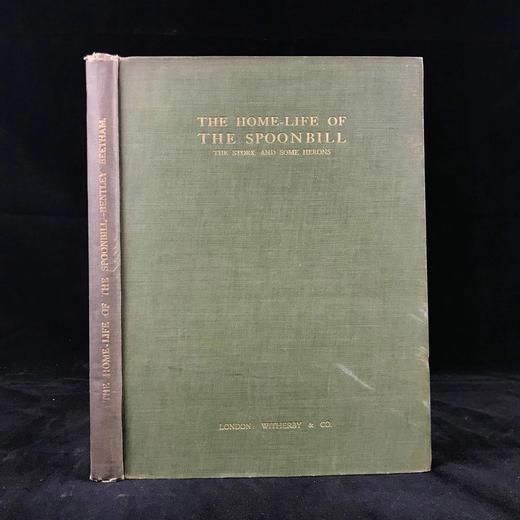 含藏书票！1910年 琵鹭的巢中生活 32幅手工贴图 漆布精装16开 商品图0